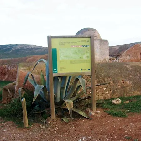 Dom wakacyjny Live Arico El Cortijo Con Solarium Y Terraza Arico Viejo